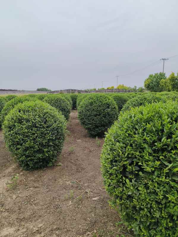 1730446140611498.jpg IMG_20230524_145034.jpg