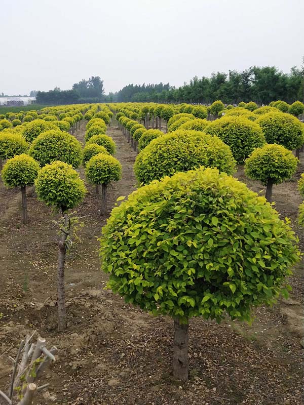 1730789377106002.jpg 6.jpg