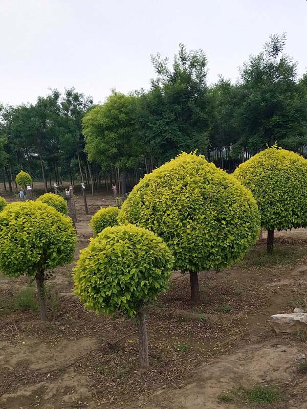 1730789698359630.jpg 4.jpg