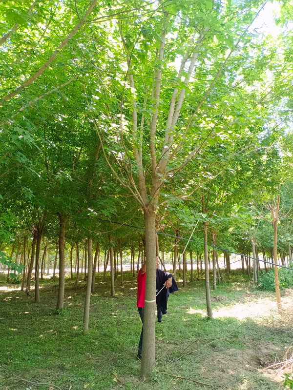 1731476300803317.jpg 18.jpg