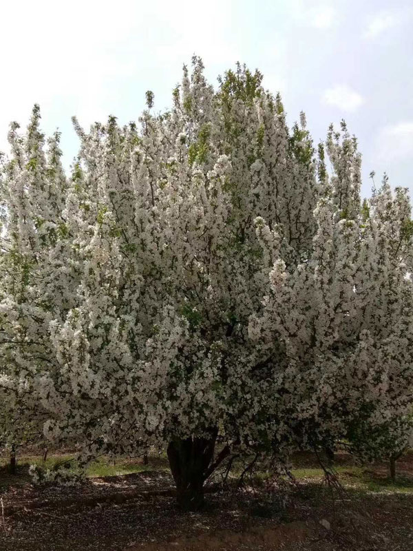 1731737929485889.jpg 32.jpg