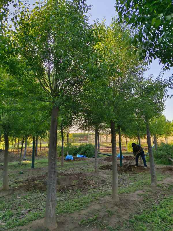 1732346449211349.jpg IMG_20230429_063443.jpg