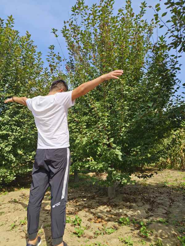 1732599032909507.jpg IMG_20230922_134559.jpg